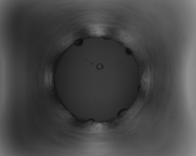 X0000089350330200706291026