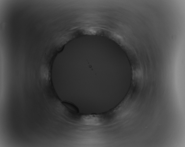 X0000089350331200706291026