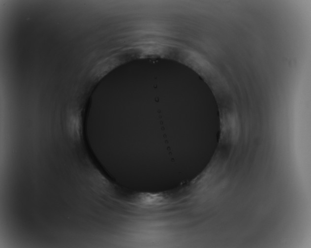 X0000089350333200706291026