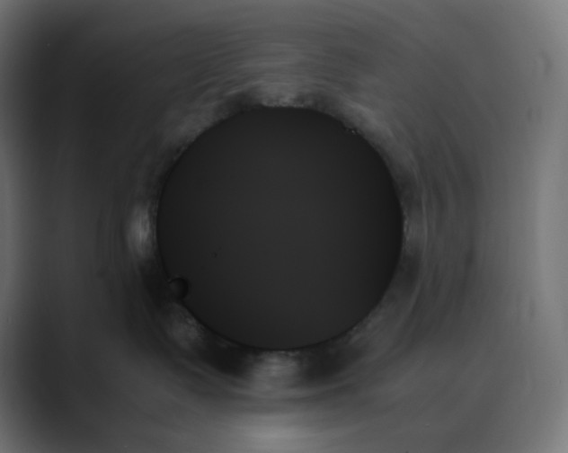 X0000089350335200706291026