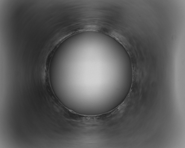 X0000089350338200706291025