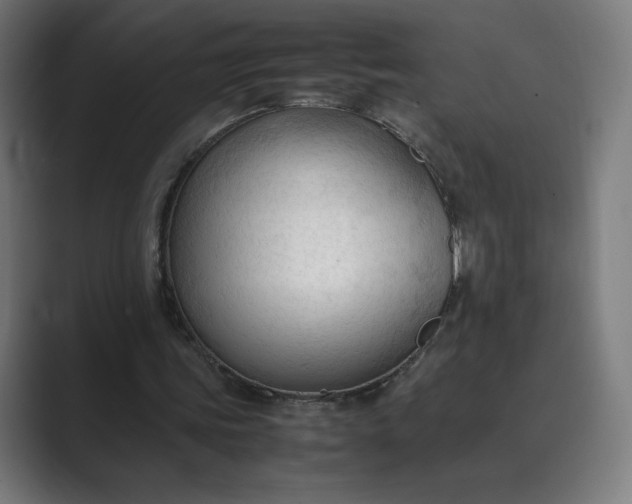 X0000089350339200706291025