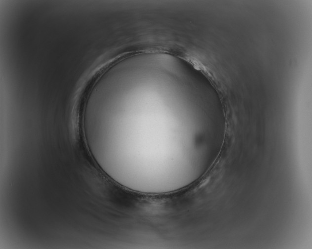 X0000089350343200706291026