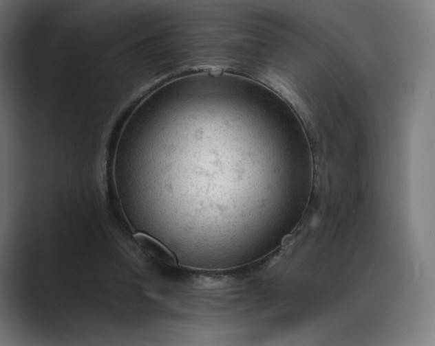 X0000089350346200706291026