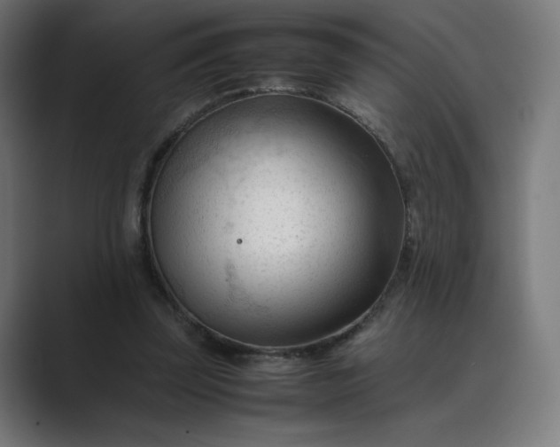 X0000089350347200706291026