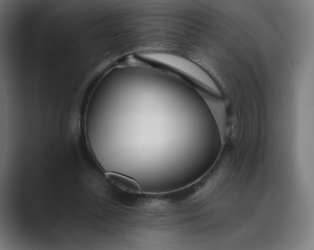 X0000089350348200706291026