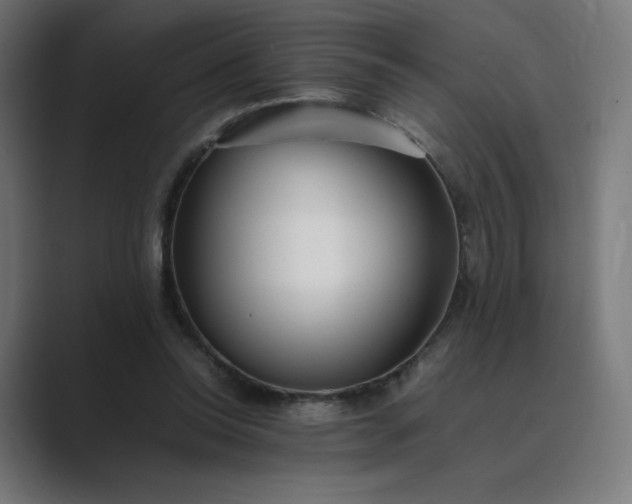 X0000089350350200706291026