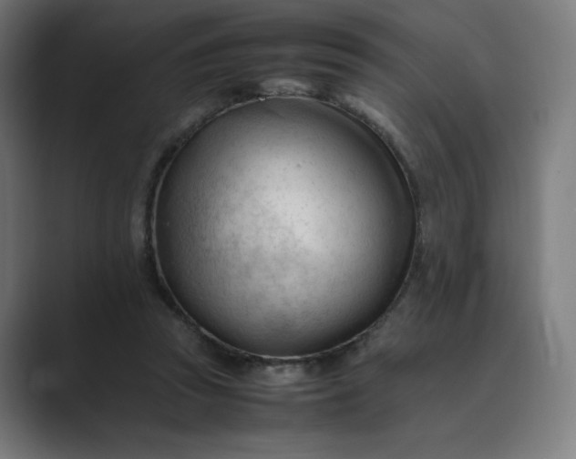 X0000089350353200706291026