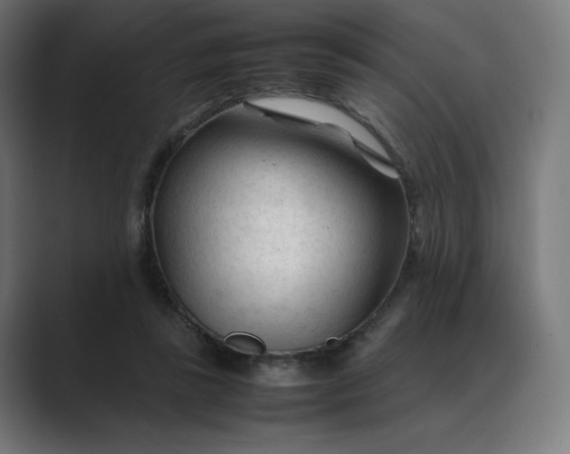 X0000089350355200706291026