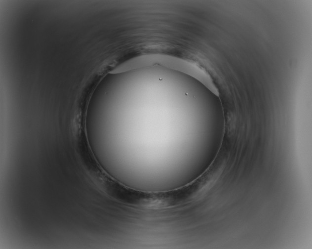 X0000089350356200706291026