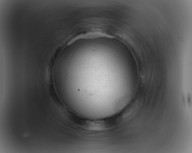 X0000089350359200706291026