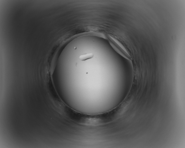 X0000089350360200706291026