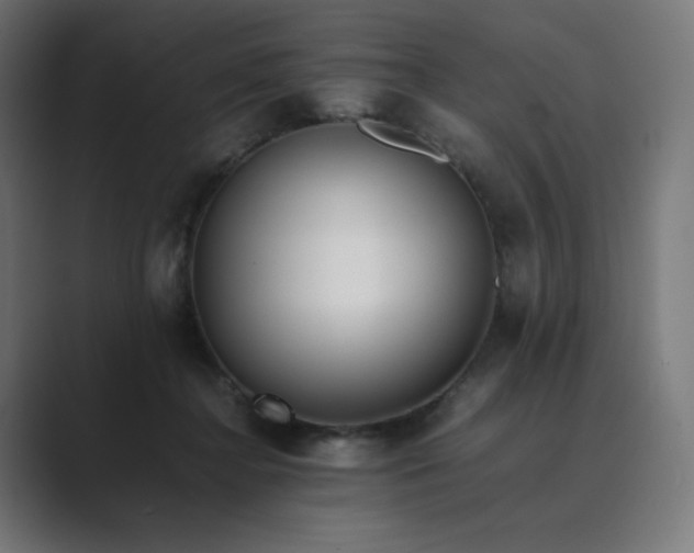 X0000089350364200706291026