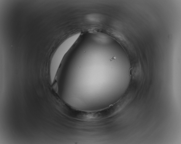 X0000089350365200706291026