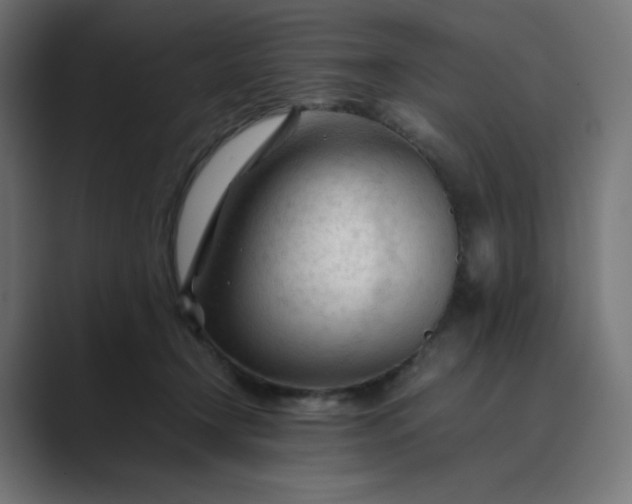 X0000089350366200706291026