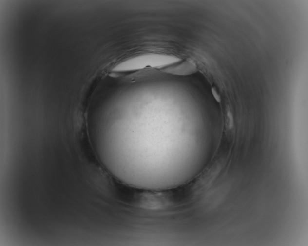 X0000089350367200706291026