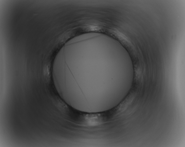 X0000089350373200706291026