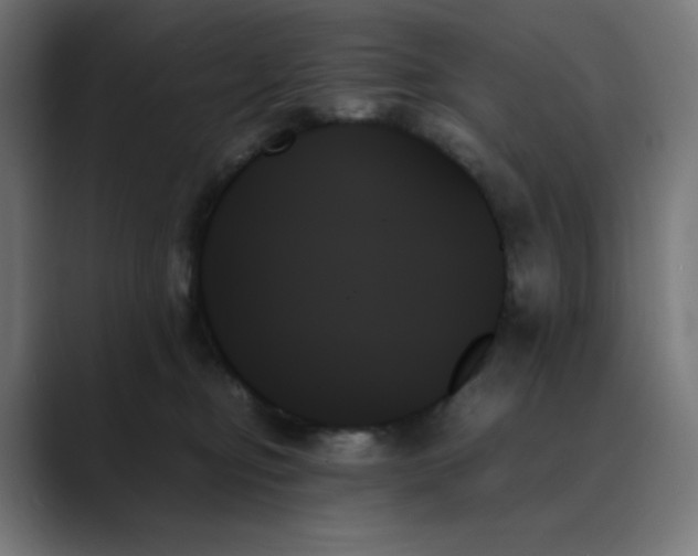 X0000089350374200706291026