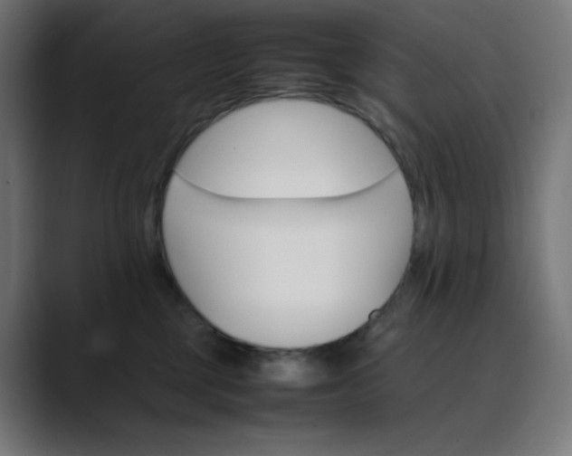 X0000089350377200706291026