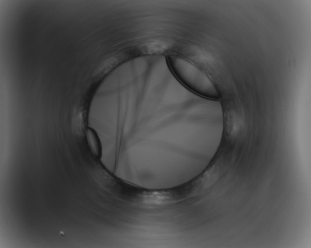 X0000089350378200706291026