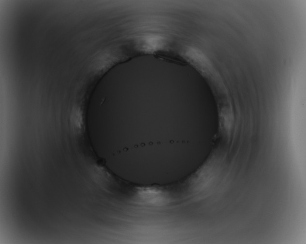 X0000089350380200706291026