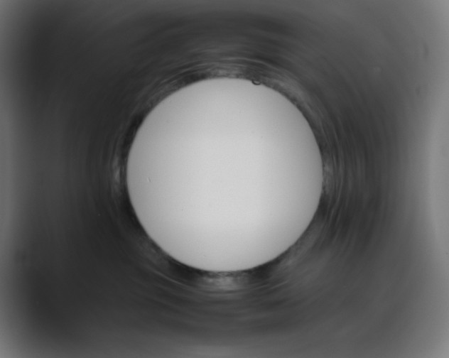 X0000089350381200706291026