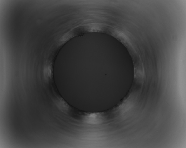 X0000089350382200706291026