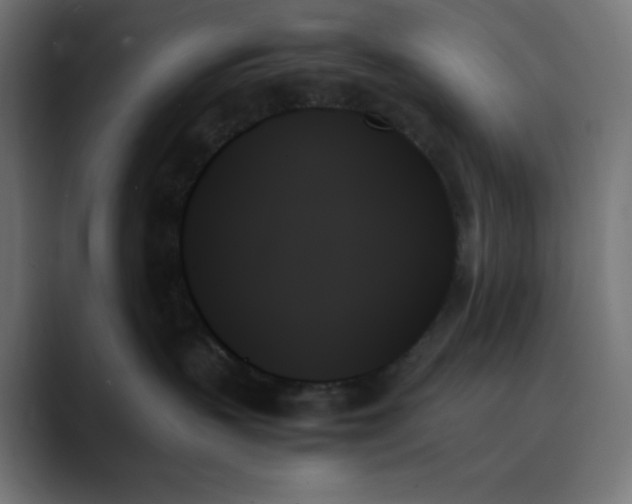 X0000089350383200706291026