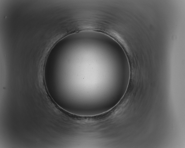 X0000089350385200706291025