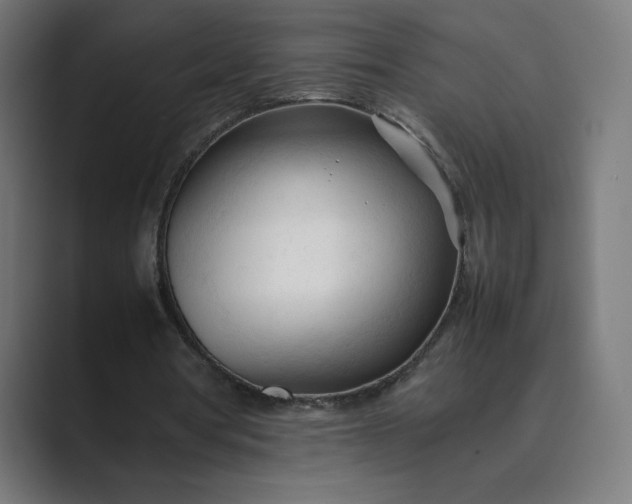 X0000089350386200706291025