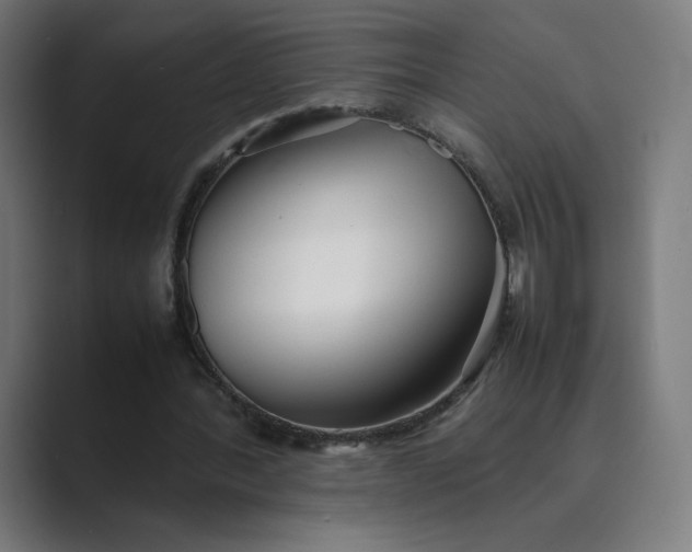 X0000089350388200706291025