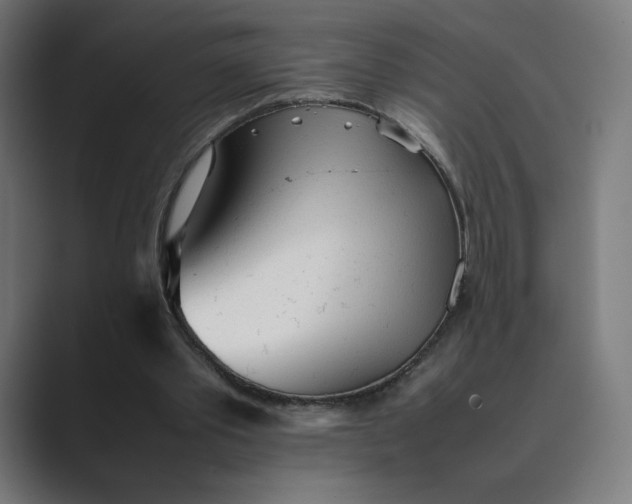 X0000089350389200706291025
