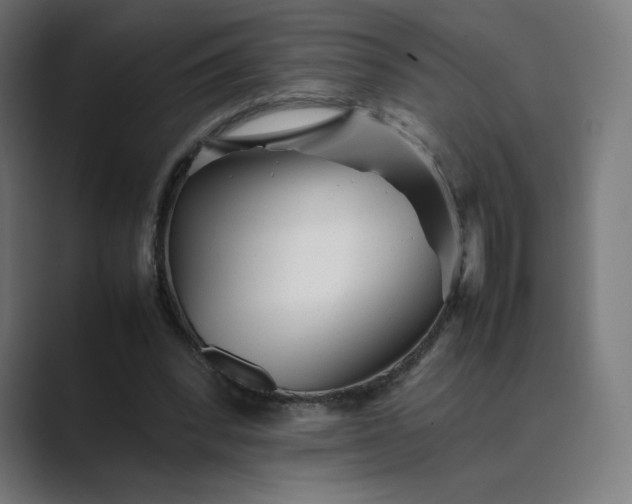 X0000089350392200706291025