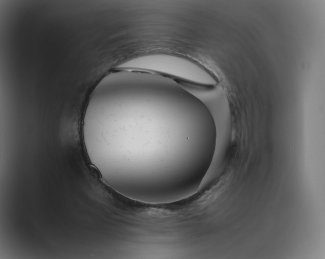 X0000089350393200706291025