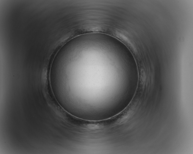 X0000089350394200706291025