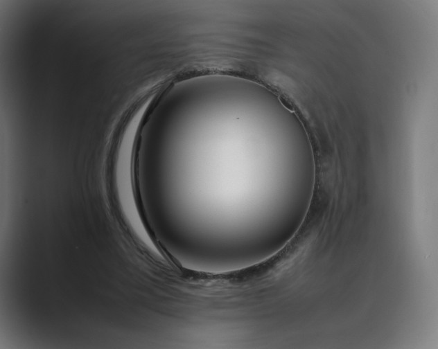 X0000089350395200706291025