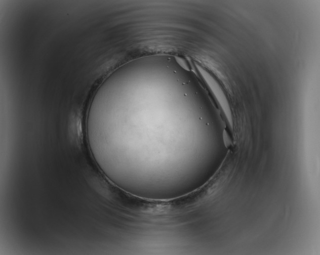 X0000089350398200706291025
