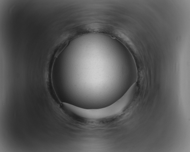 X0000089350399200706291025