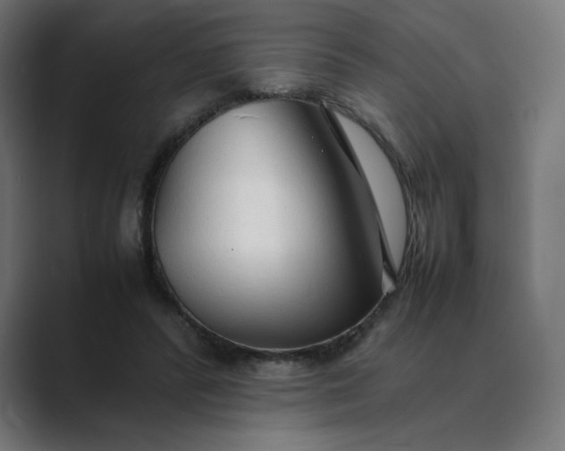 X0000089350400200706291025