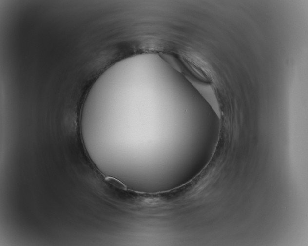 X0000089350401200706291025