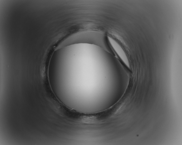 X0000089350403200706291025