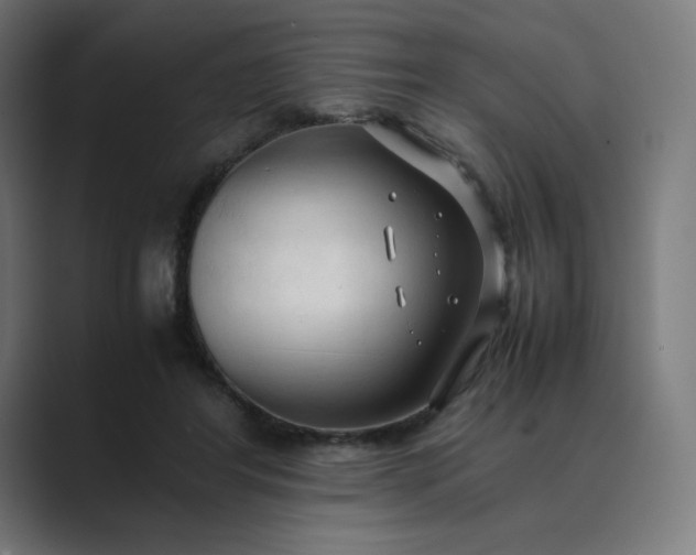 X0000089350404200706291025