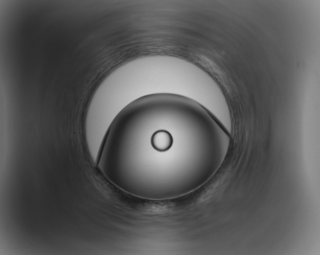 X0000089350405200706291025