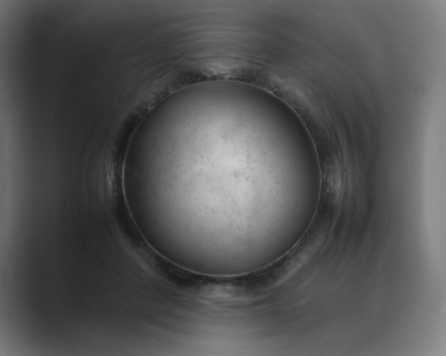 X0000089350408200706291025