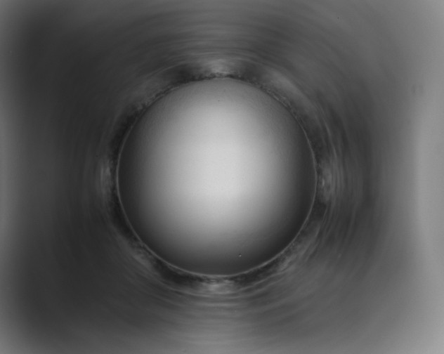 X0000089350410200706291025