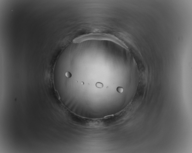 X0000089350415200706291025