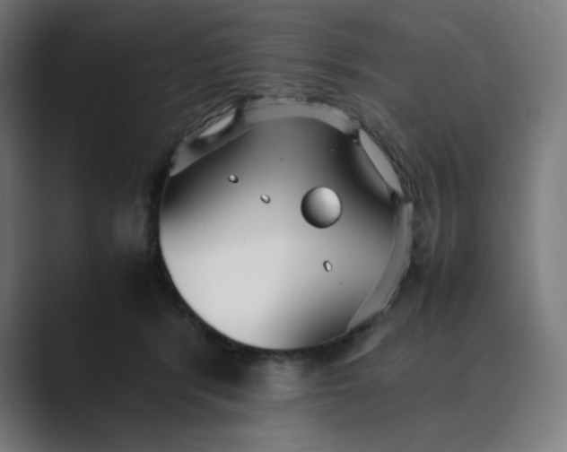 X0000089350416200706291025