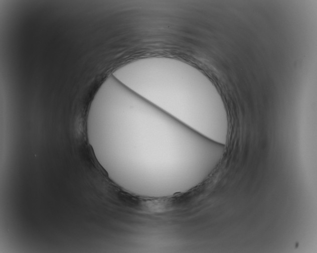 X0000089350417200706291025