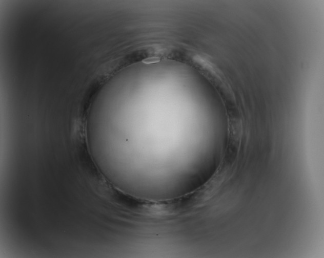 X0000089350419200706291025