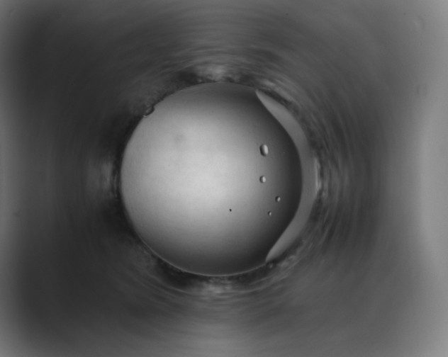 X0000089350420200706291025